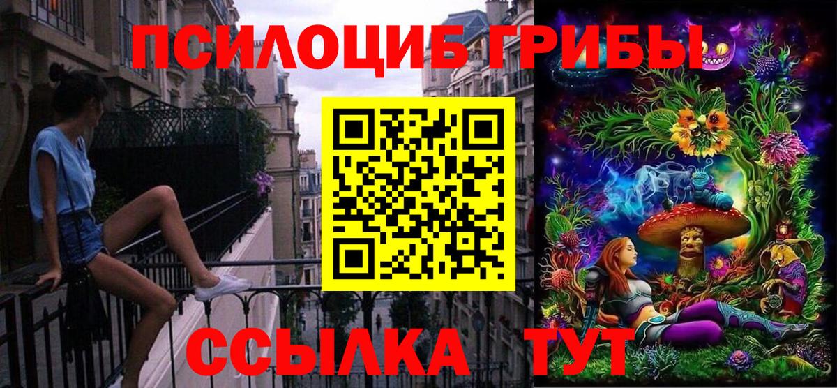 Псилоцибиновые грибы MAGIC MUSHROOMS  Вход с VPN  Дмитров 